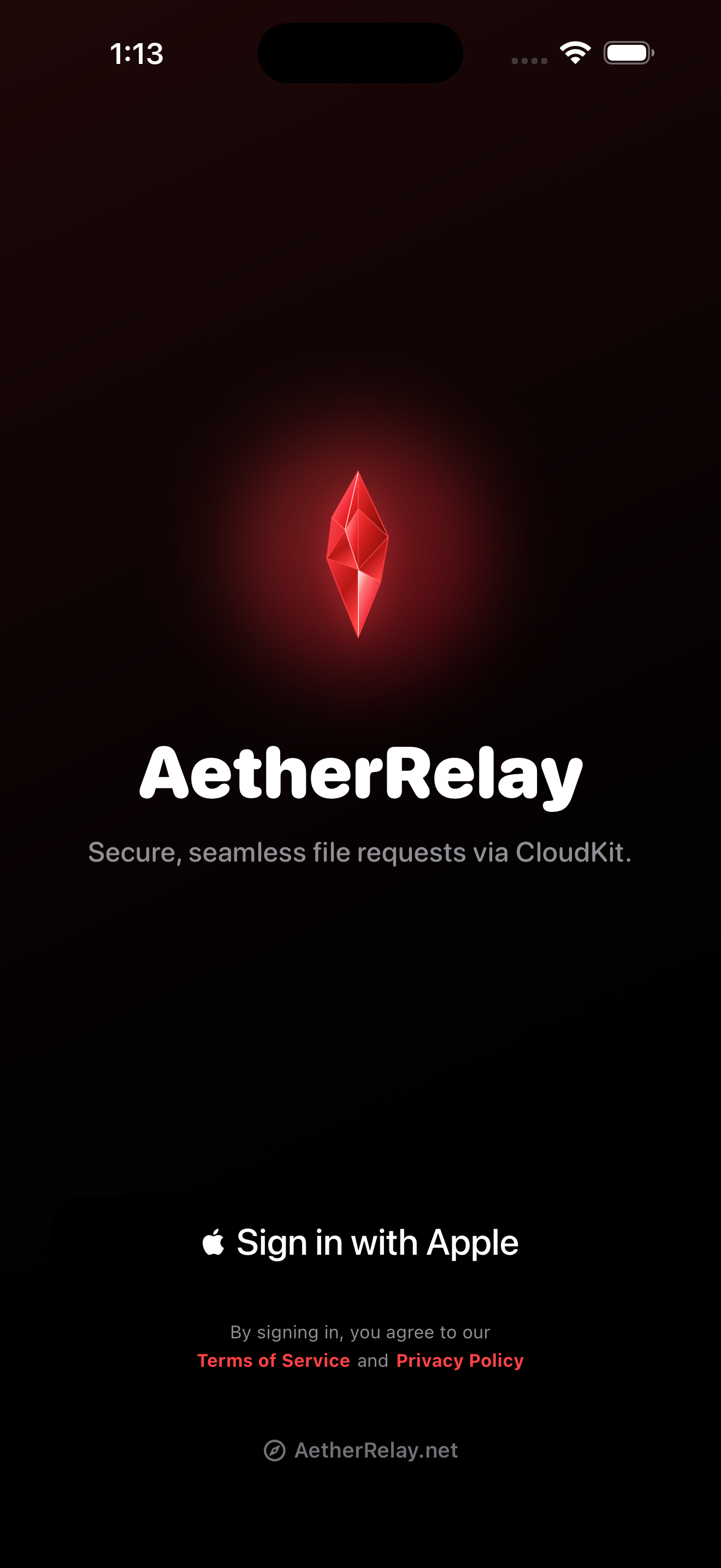 AetherRelay iOS Sign In Interface